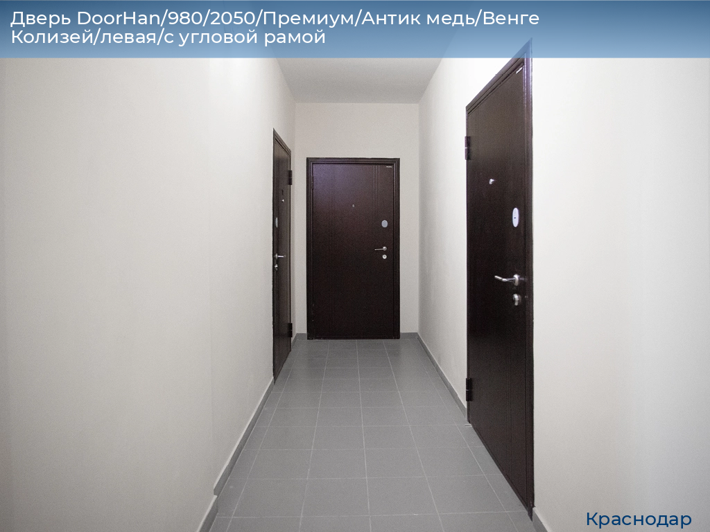 Дверь DoorHan/980/2050/Премиум/Антик медь/Венге Колизей/левая/с угловой рамой, https://krasnodar.doorhan.ru
