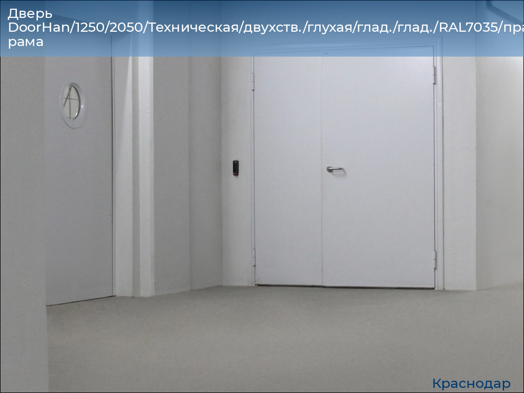 Дверь DoorHan/1250/2050/Техническая/двухств./глухая/глад./глад./RAL7035/прав./угл. рама, https://krasnodar.doorhan.ru