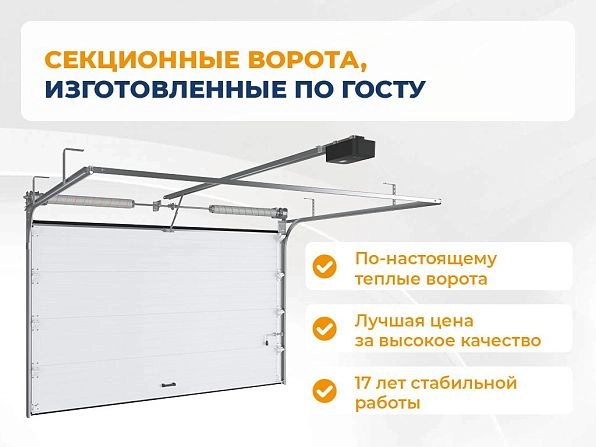 Cекционные ворота 3300х2400 мм антрацитовые DoorHan RSD02, https://krasnodar.doorhan.ru